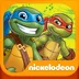 TMNT Heroes